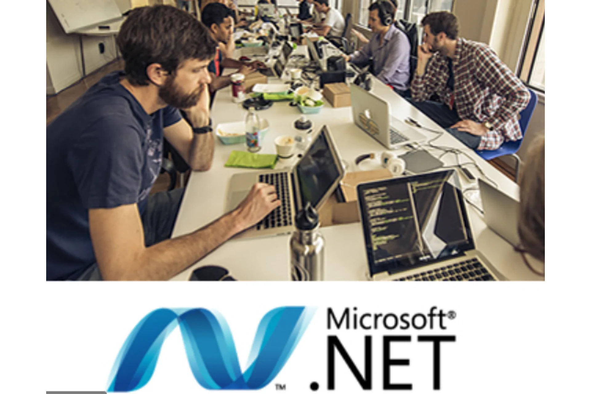 [SkillFactory] Разработчик на C#: практический курс .NET, 2015, фото 1 из 1.