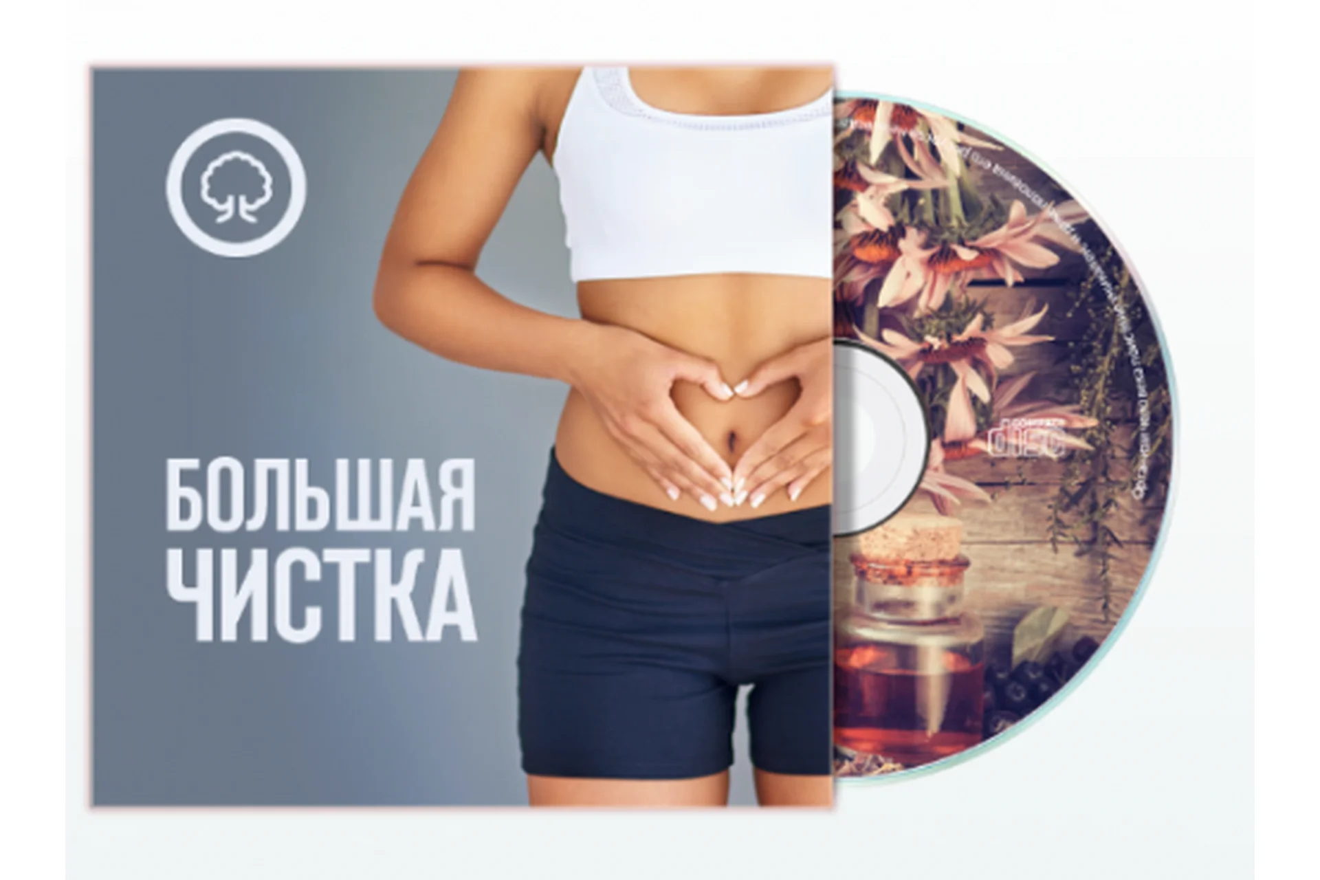 Большая чистка, 2019 (Алексей Маматов), фото 1 из 1.