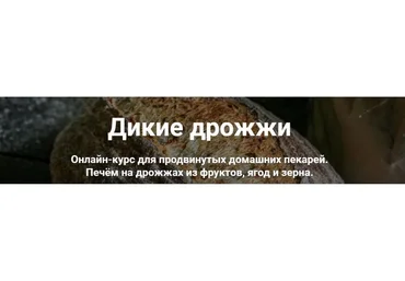 Дикие дрожжи (Ахмед Али-заде, Ольга Ткаченко)