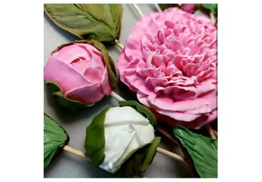 Урок Пионы (Светлана Деминовских)