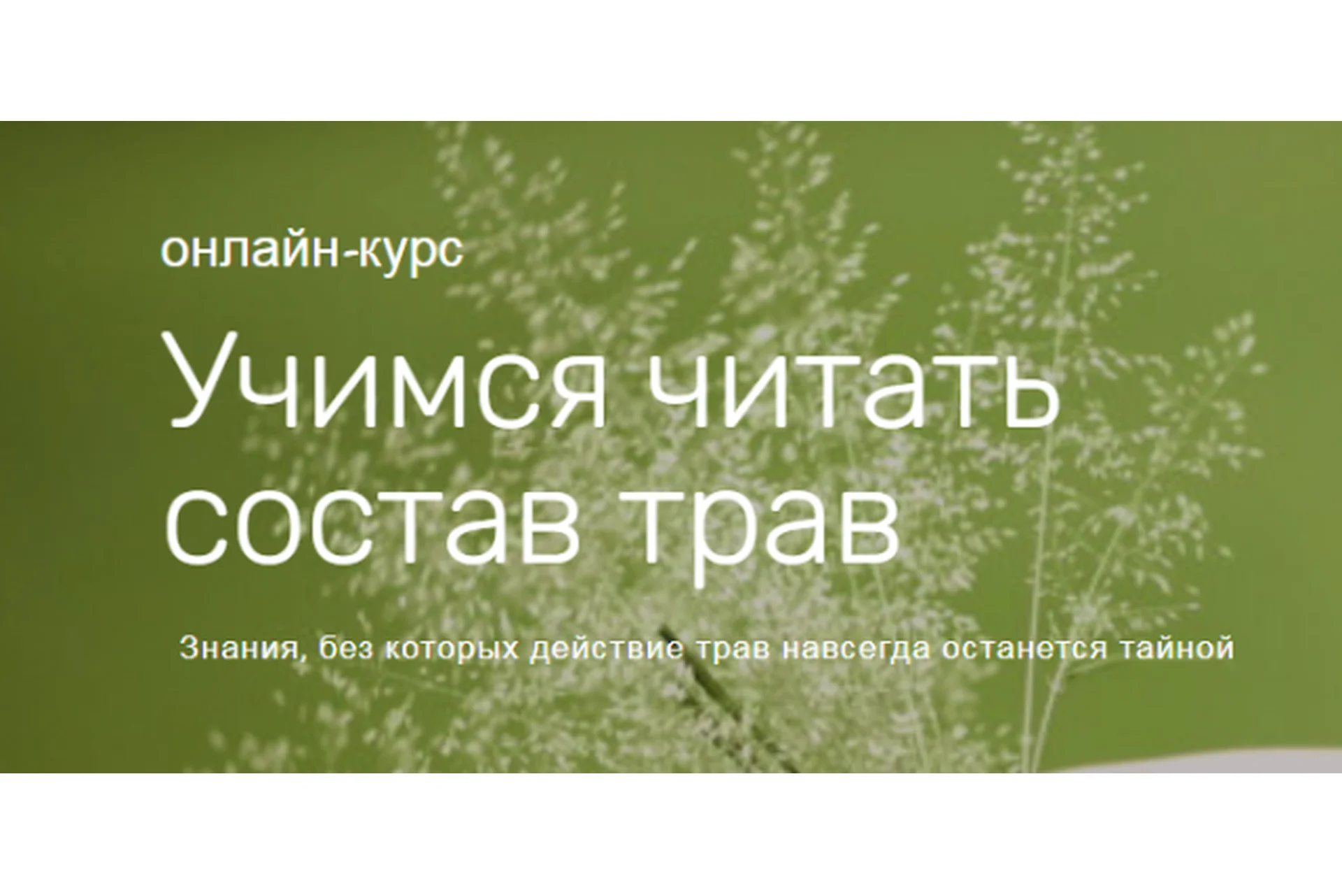 Учимся читать состав трав (Ольга Дзюбан), фото 1 из 1.