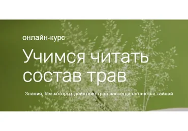 Учимся читать состав трав (Ольга Дзюбан)