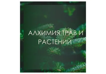 [Берегиня] Алхимия трав и растений (Марина Левит)