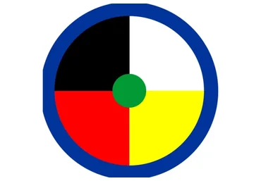 Годовой шаманский курс (Елена Веселаго)