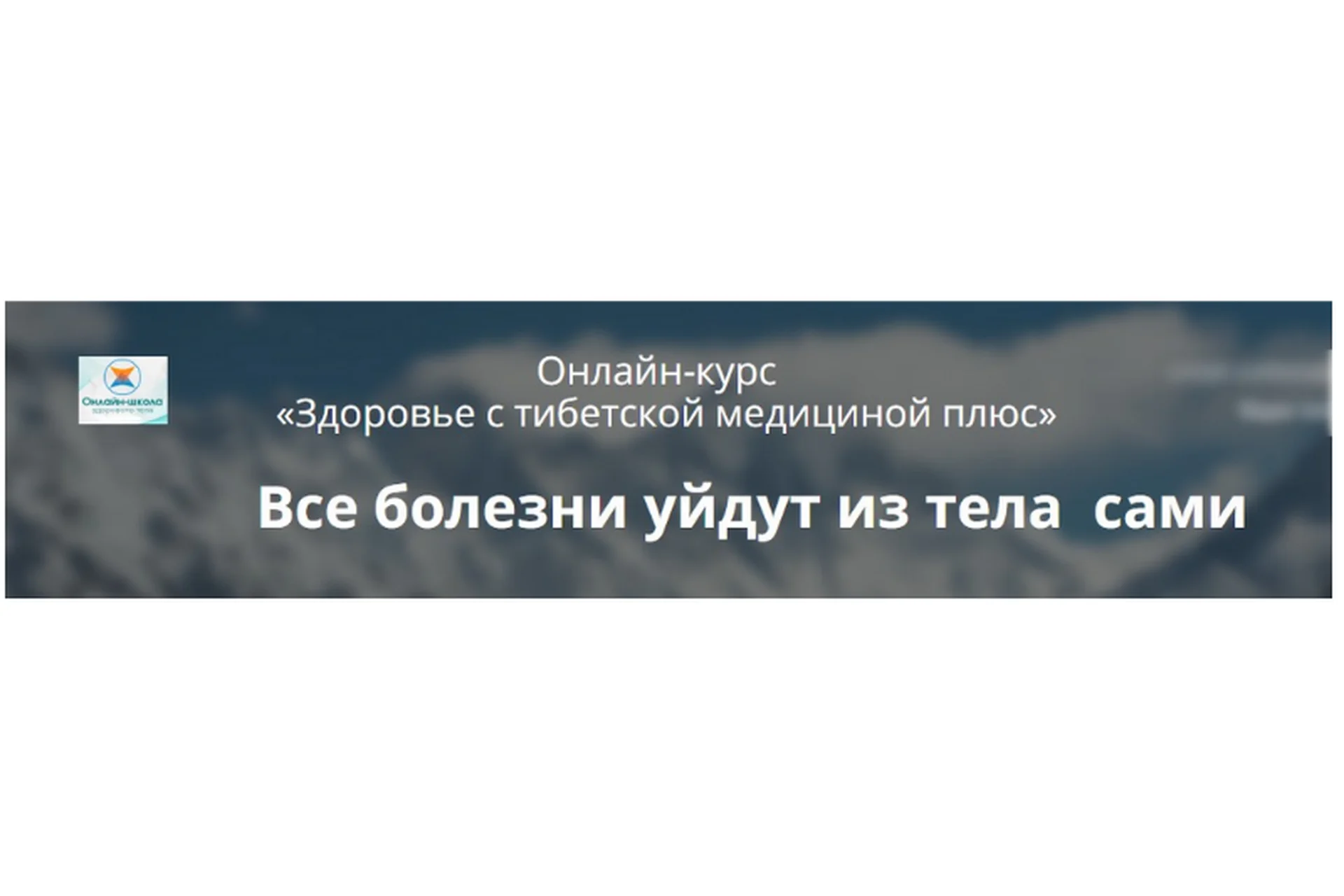 Здоровье с тибетской медициной плюс (Елена Шапаренко), фото 1 из 1.