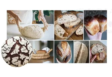 [Oh my Bread] Профессиональное обучение хлебопечению. Полный курс Oh my Bread (Анна Кучкина)