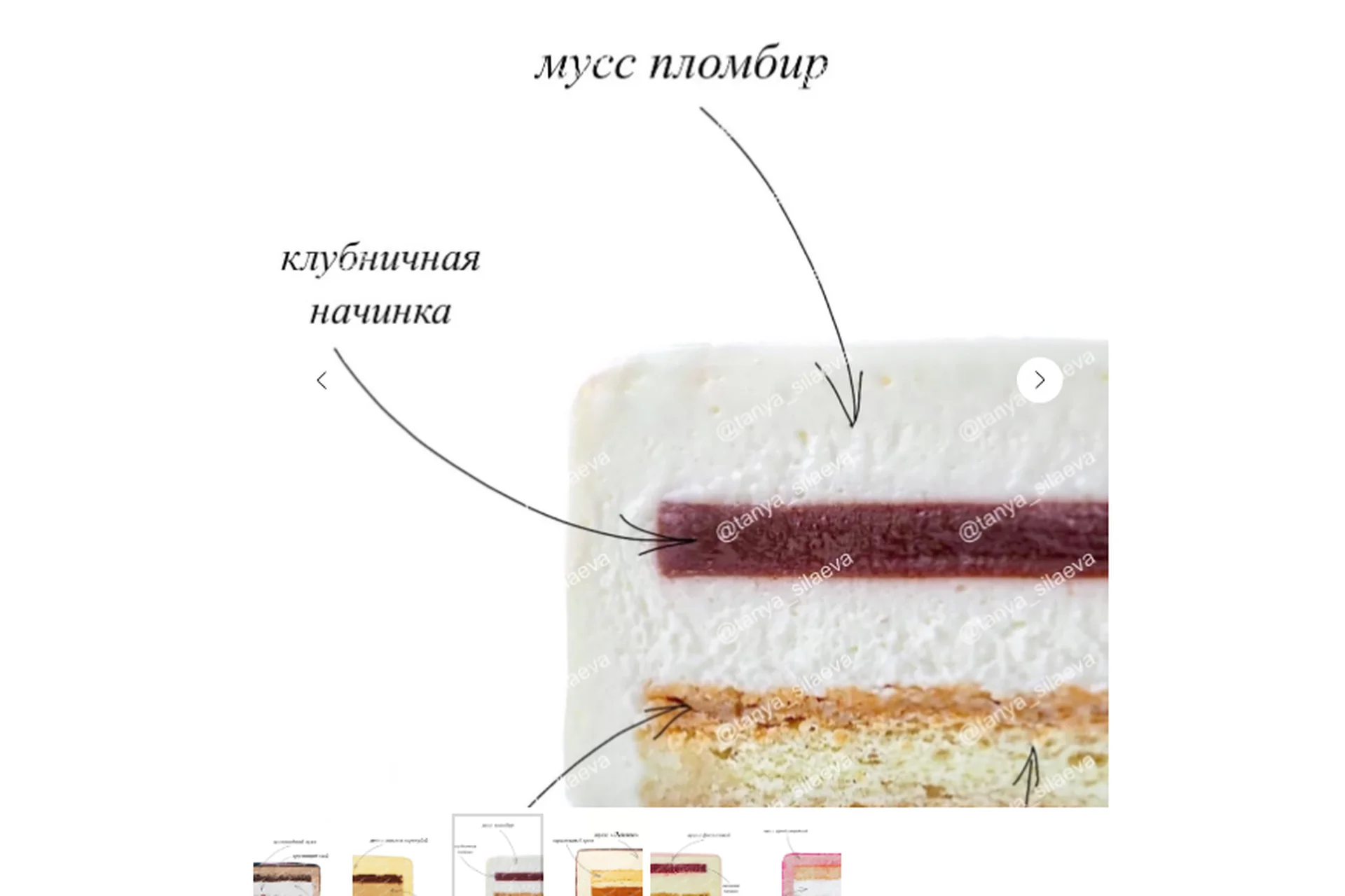 Рецепты муссовых тортов 2021 (Таня Силаева), фото 1 из 1.