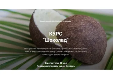 Шоколад (Елена Становова)