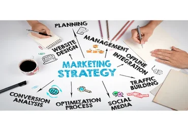 [tema.biz] Маркетинговые стратегии (Анастасия Комарова)