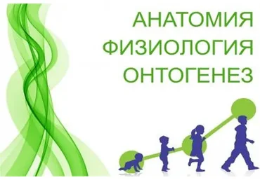 Физиология. Дыхательной система (Анастасия Семко)