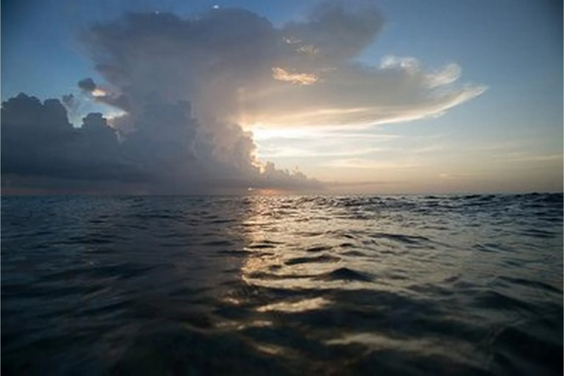 [Esthetic Label] Коллекция пейзажных пресетов 5 паков Lightroom, фото 1 из 1.