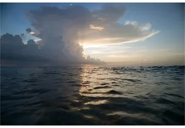 [Esthetic Label] Коллекция пейзажных пресетов 5 паков Lightroom