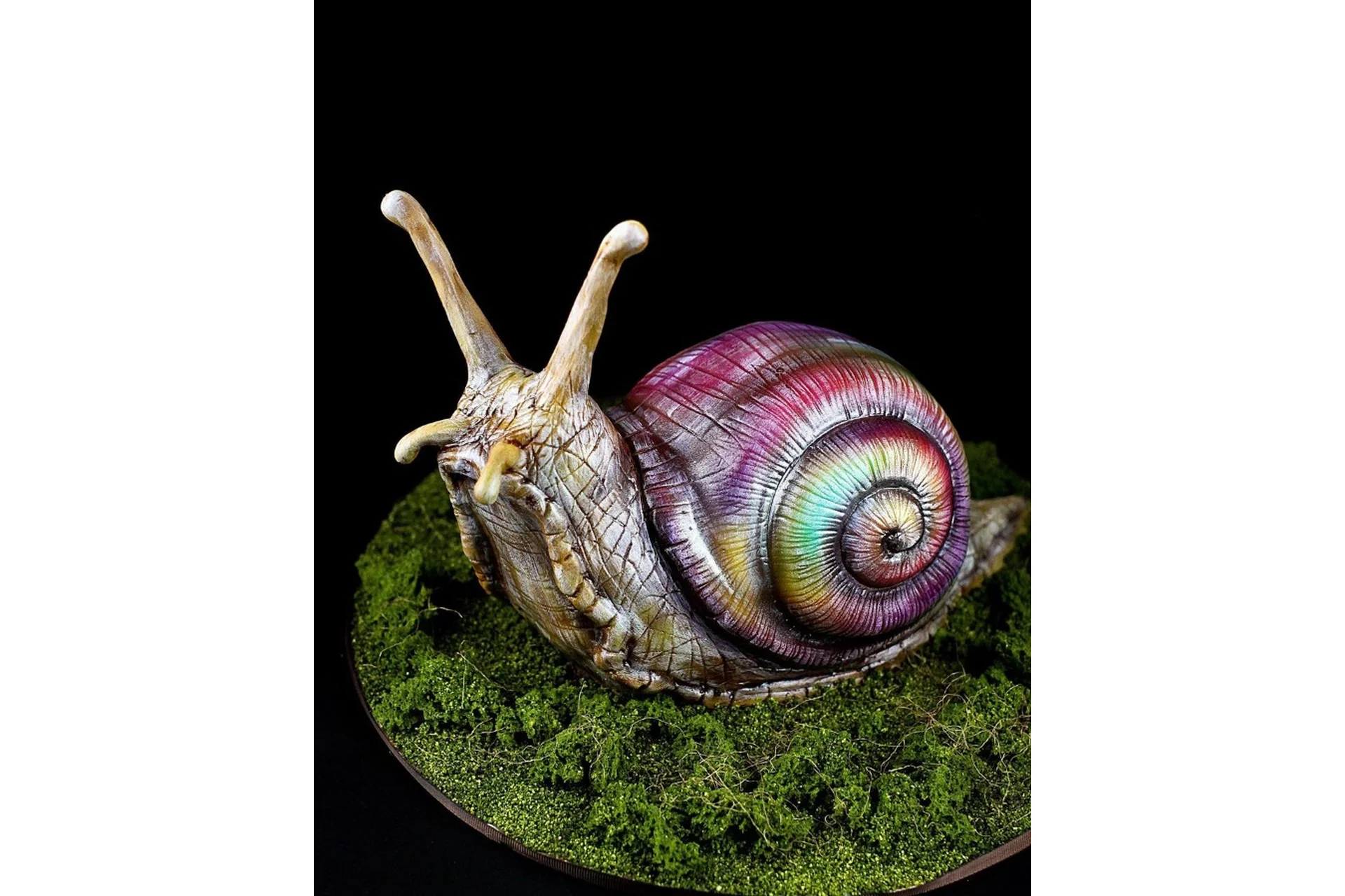 Торт Радужная улитка (Мария Маграт), фото 1 из 1.