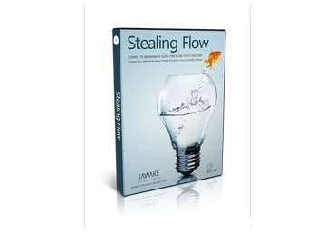 [iAwake Technologies] Творческий поток - Stealing Flow