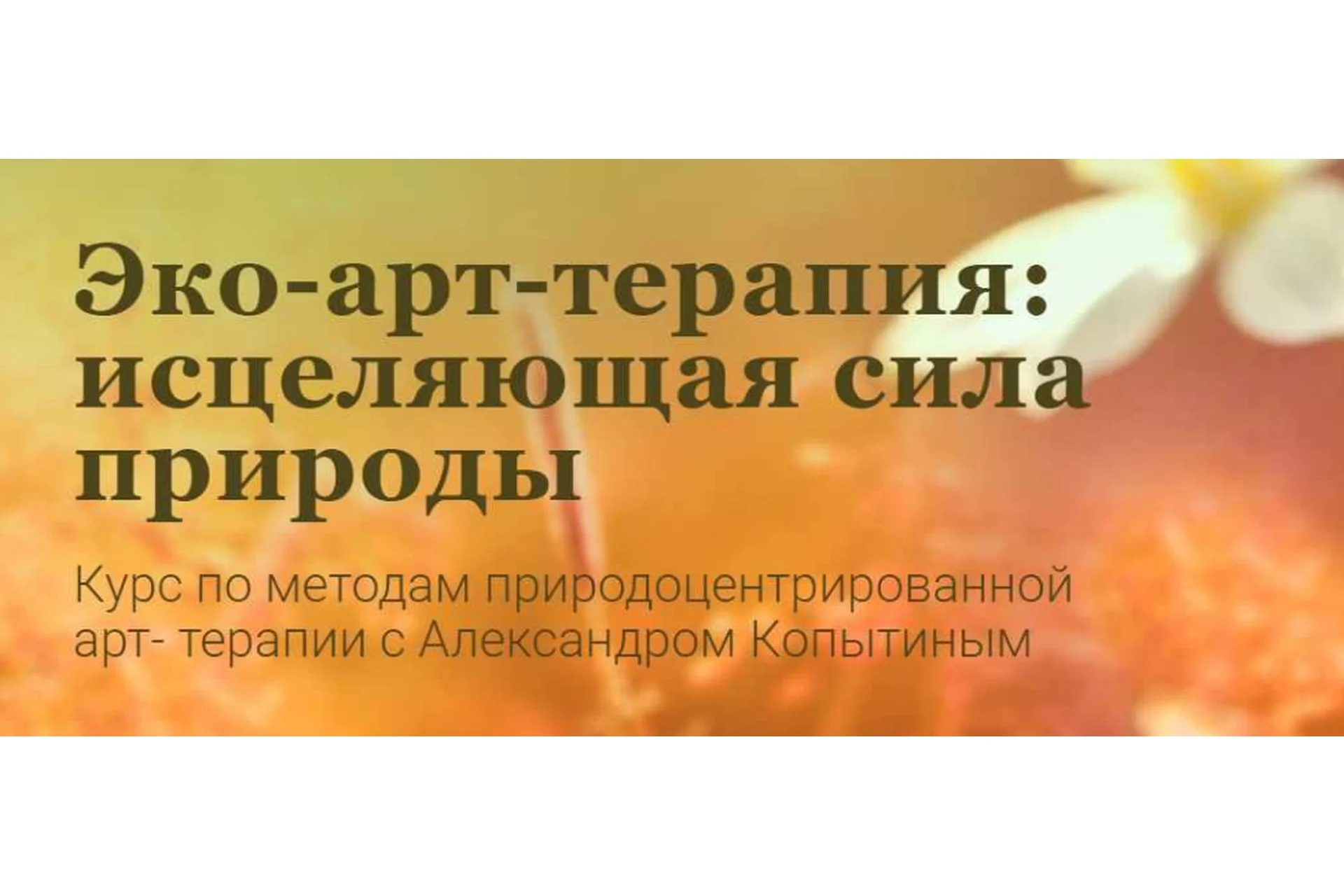 Эко-арт-терапия: исцеляющая сила природы (Александр Копытин, Лилия Шарафиева), фото 1 из 1.