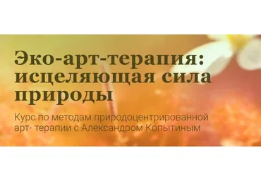 Эко-арт-терапия: исцеляющая сила природы (Александр Копытин, Лилия Шарафиева)