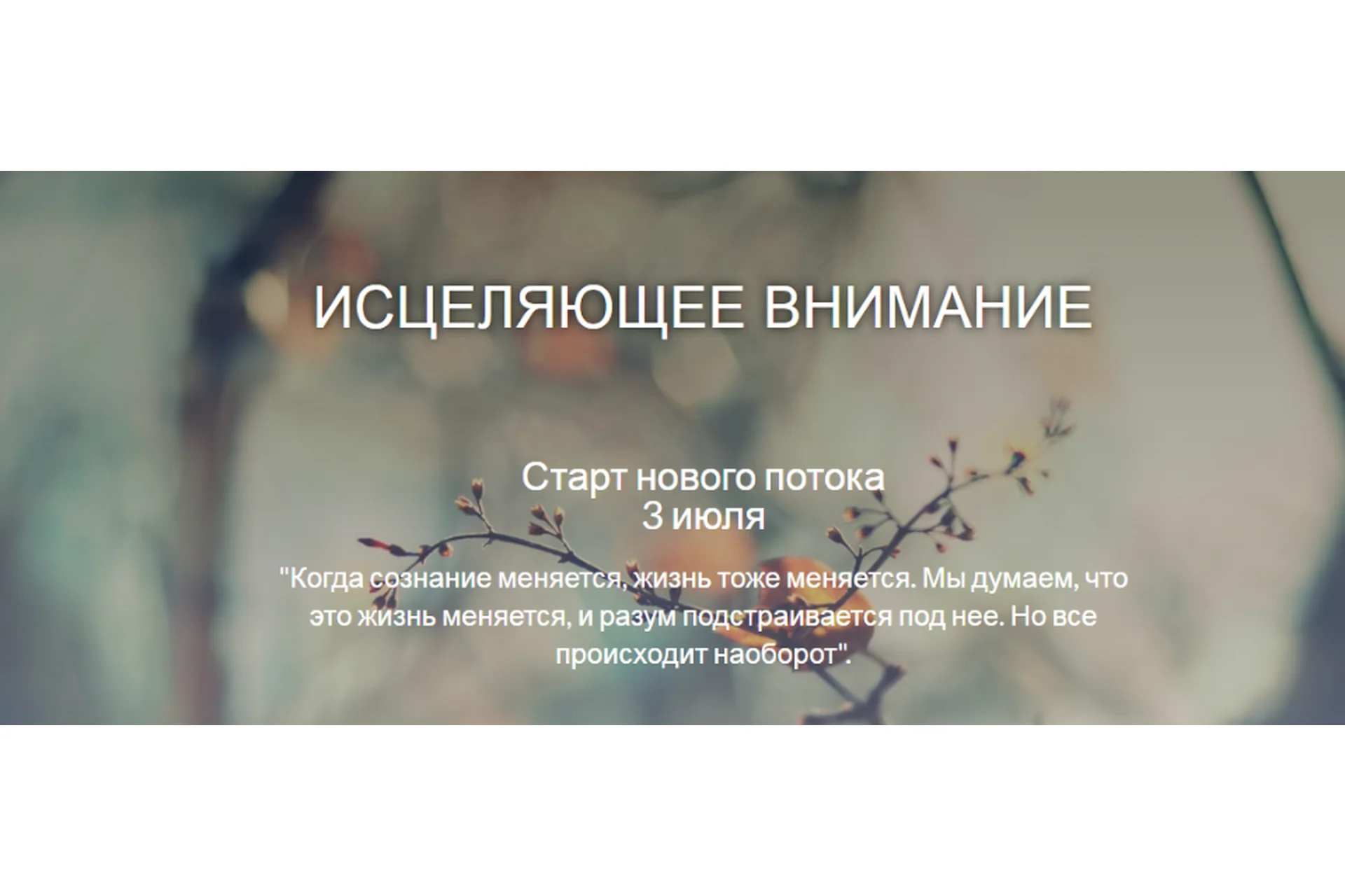 [MindFocus] Исцеляющее внимание (Катерина Суратова), фото 1 из 1.