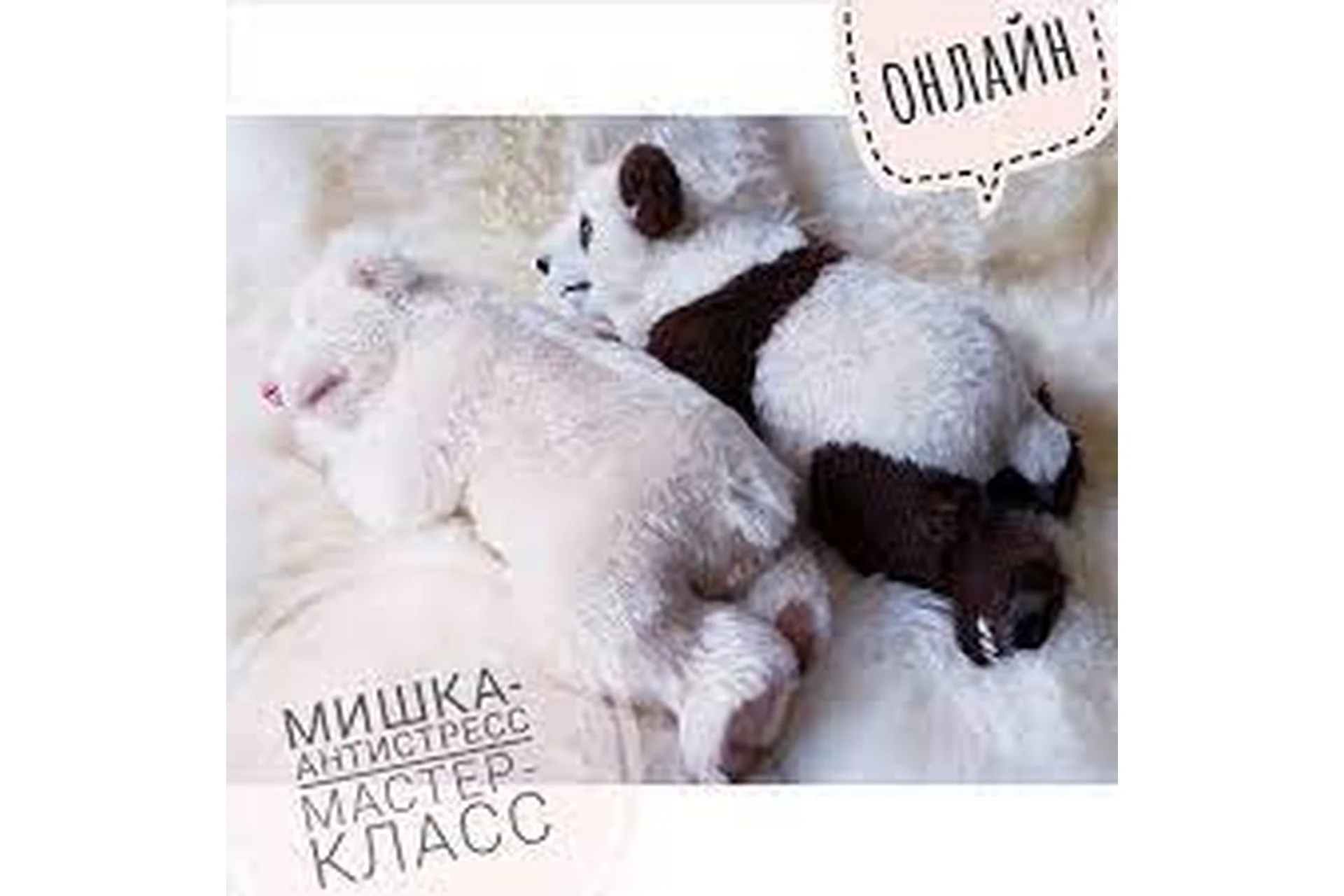 Мишка-Антистресс (Вероника Хек), фото 1 из 1.