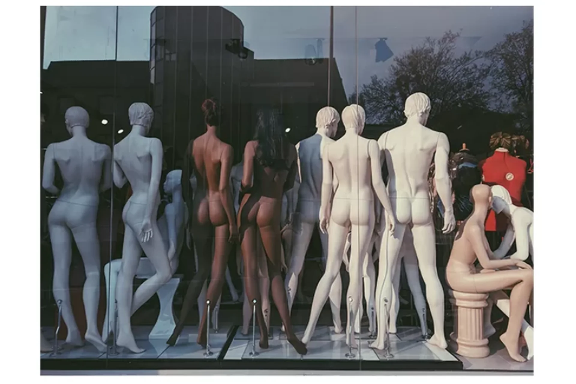 Социализация и образ тела (Гарри Колман), фото 1 из 1.