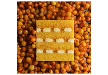 [cakeit_nsk] Торта «Total облепиха» (Любовь Ки)