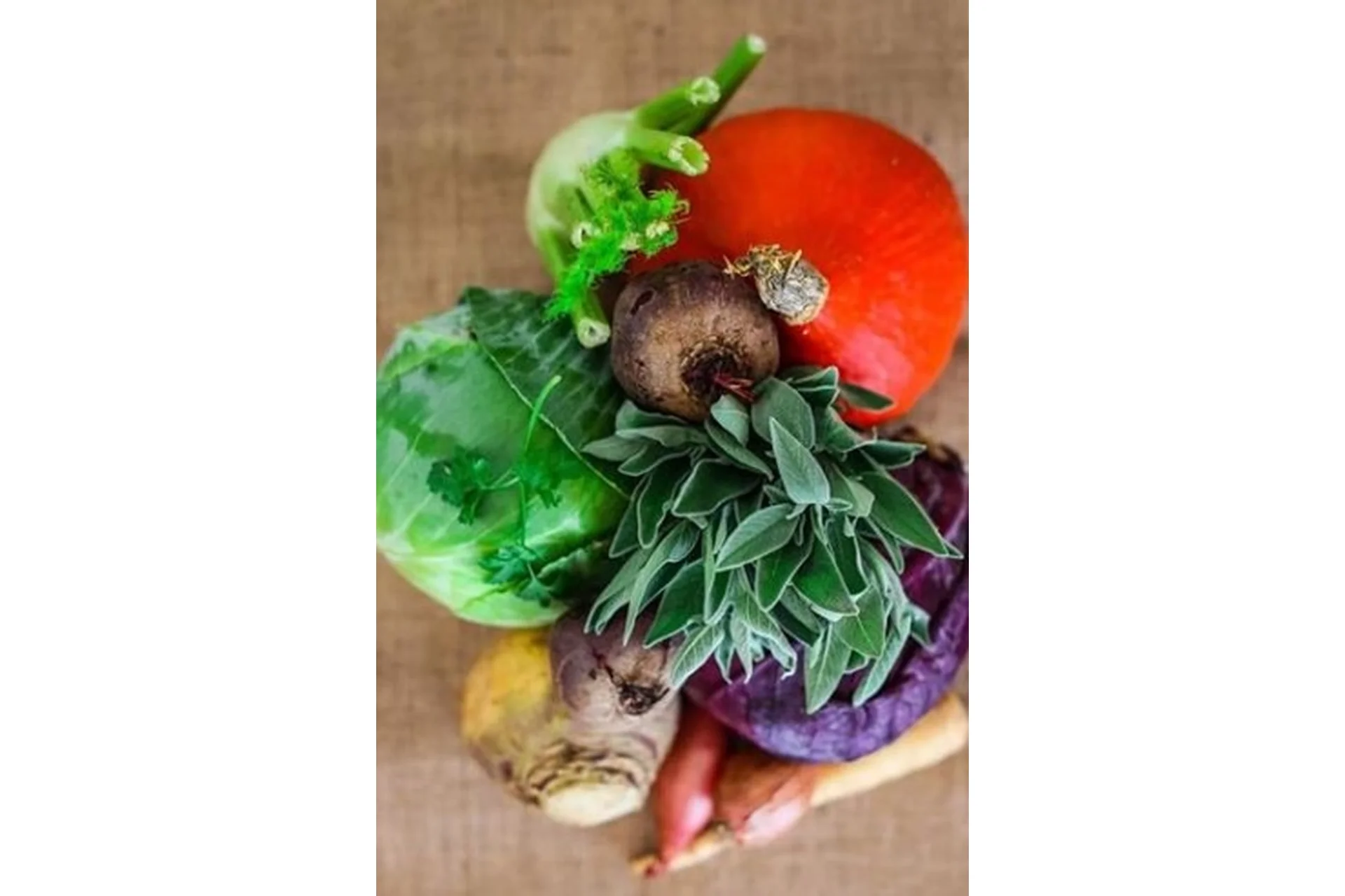 [PraCooking] ПРАвильный год (Ольга Шенкерман), фото 1 из 1.