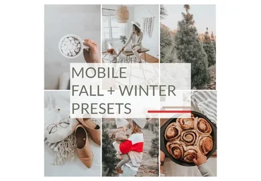 Зимние и Осенние Мобильные Пресеты для уютных фото: Fall + Winte, DNG (Bethany Poteet)