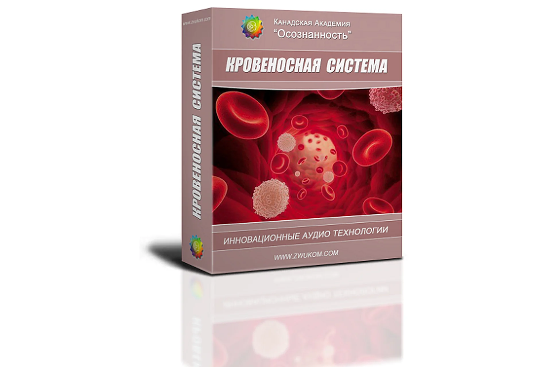 Кровеносная система (программа для женщин) (Алла и Игорь Ревенко), фото 1 из 1.