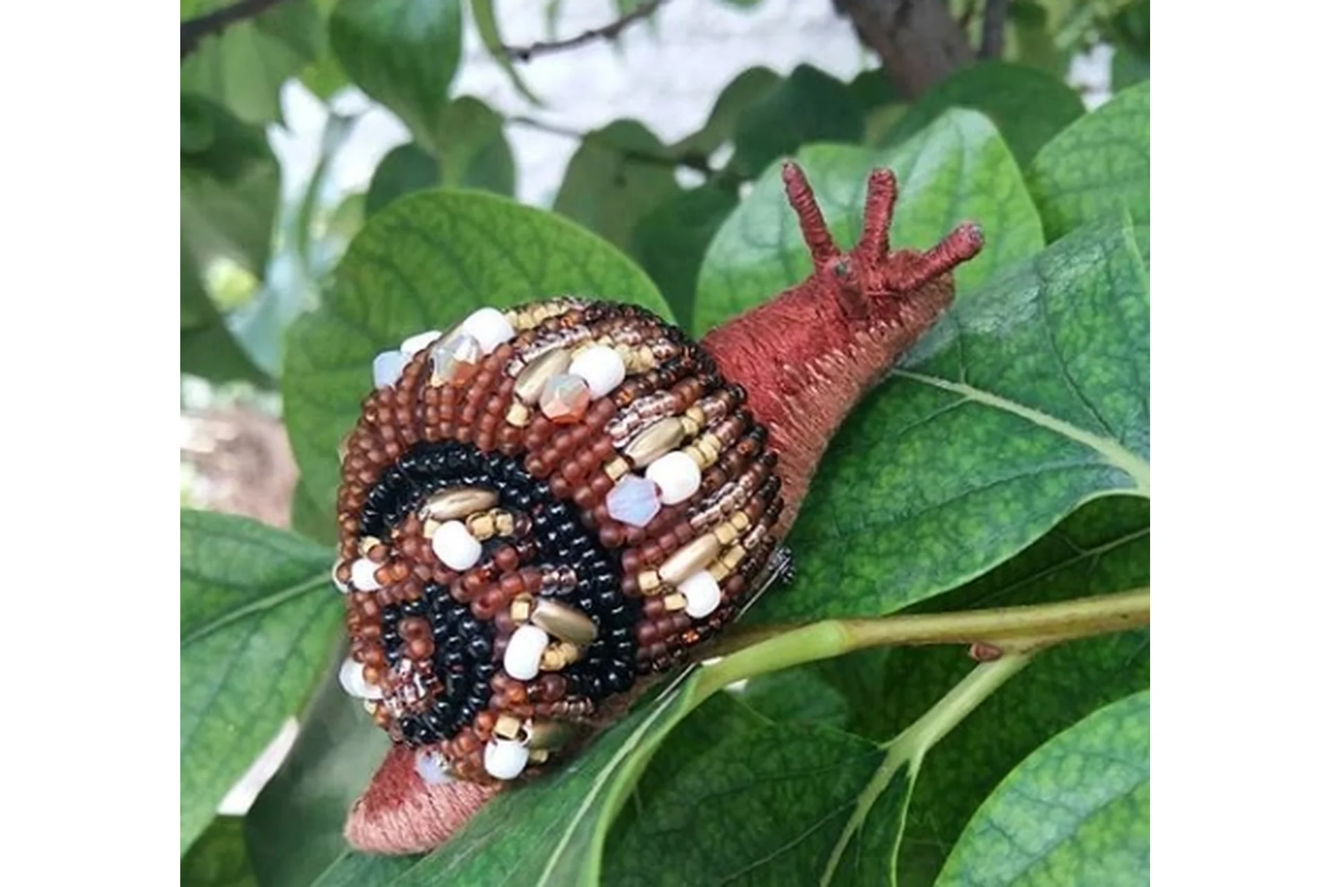 Улиточка (Ирина Якубова), фото 1 из 1.