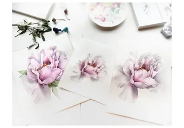 Курс по ботанической акварели. Тариф Стандартный (Катерина Спиртус)