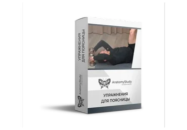 [AnatomyStudy] Упражнения для поясницы (Вадим Балюк)