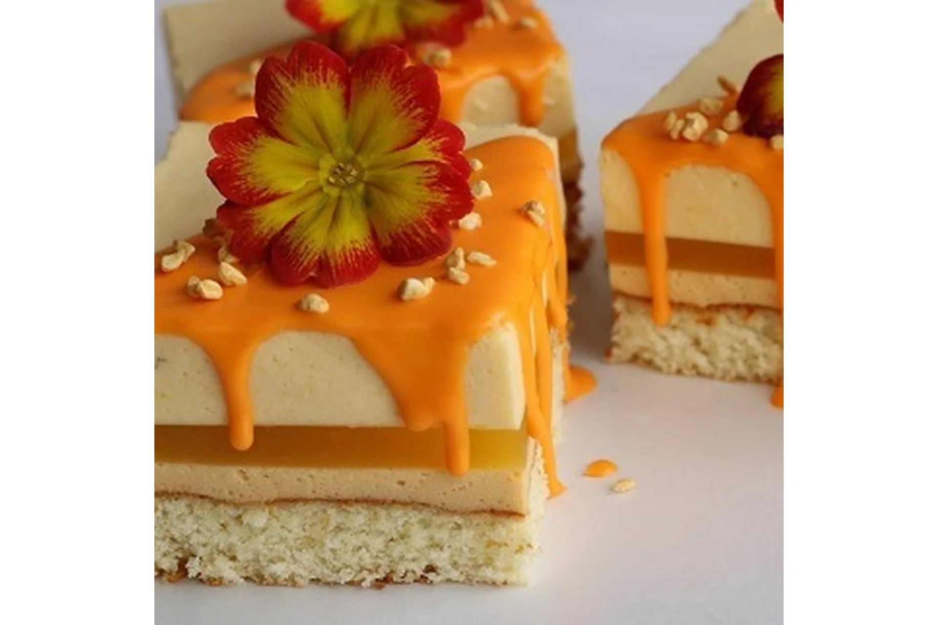 Основы кондитерского мастерства 17 поток (Олеся Шубина), фото 1 из 1.