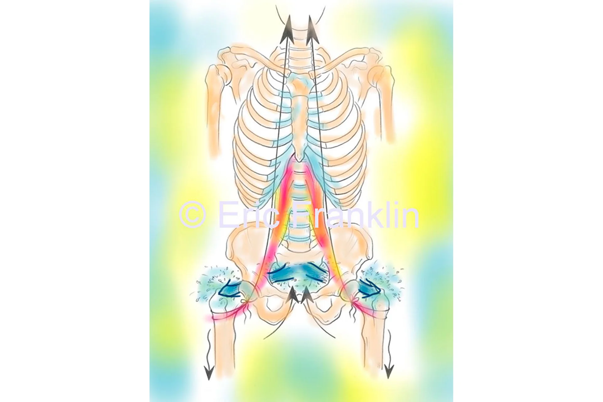 [Центр Практика] Поясничная мышца по методу Франклина, фото 1 из 1.
