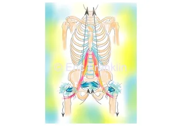 [Центр Практика] Поясничная мышца по методу Франклина