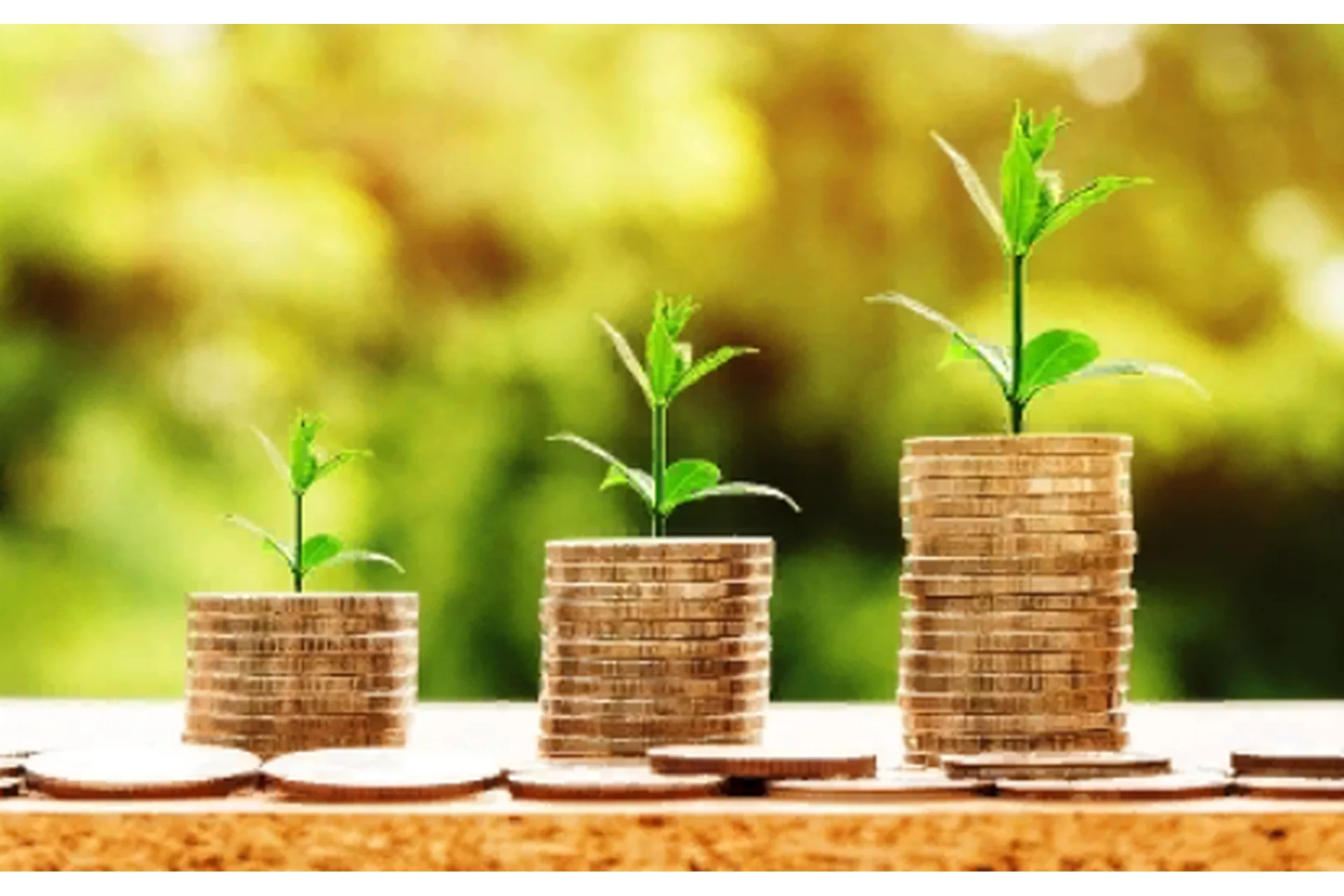 Магия привлечения доходов (Лавиния Сина Шендрей), фото 1 из 1.