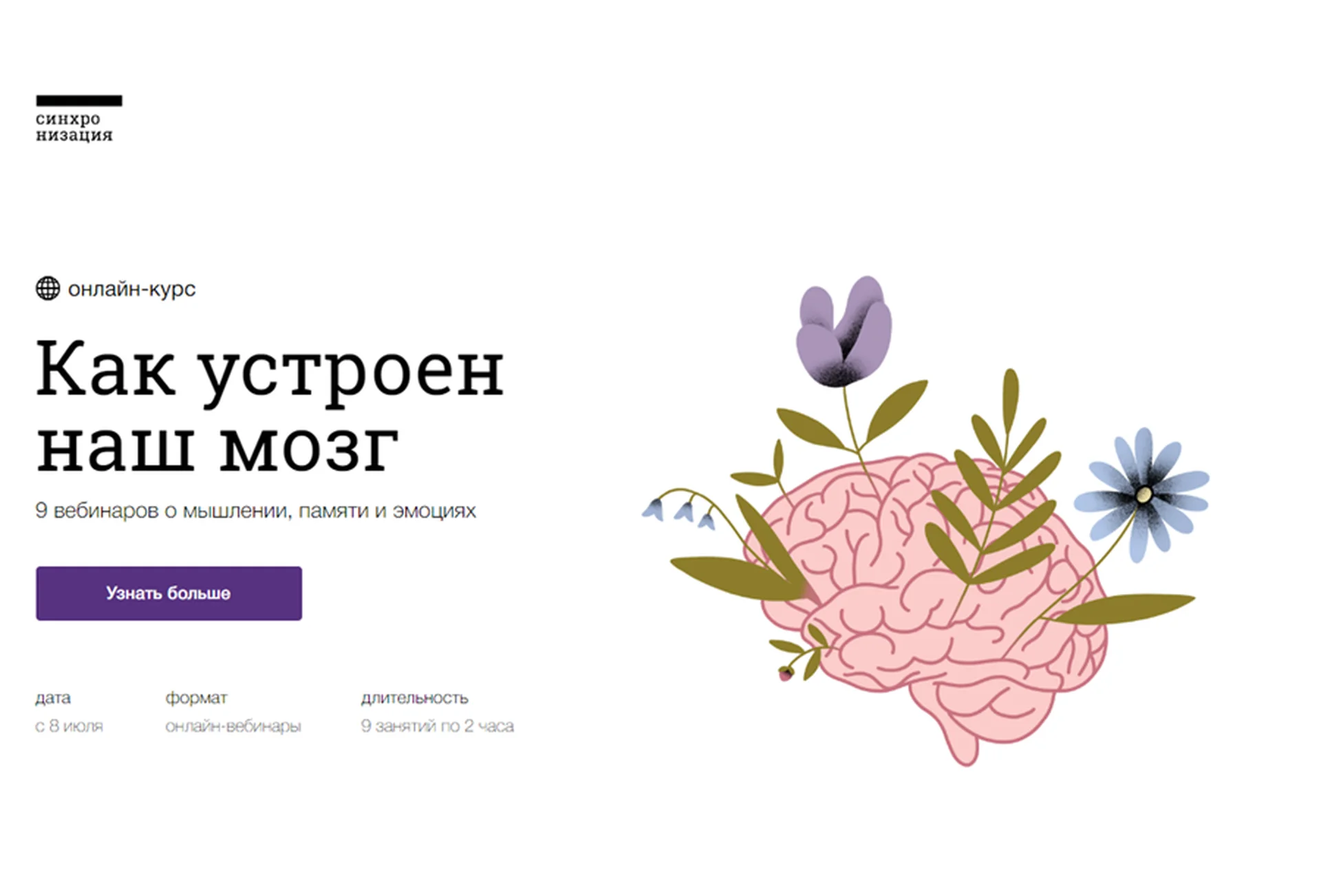 [Синхронизация] Как устроен наш мозг (Вячеслав Дубынин), фото 1 из 1.