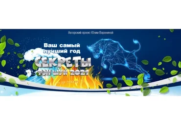 Ваш самый лучший год. Секреты Фэн Шуй 2021. Пакет «Gold» (Юлия Воронина)