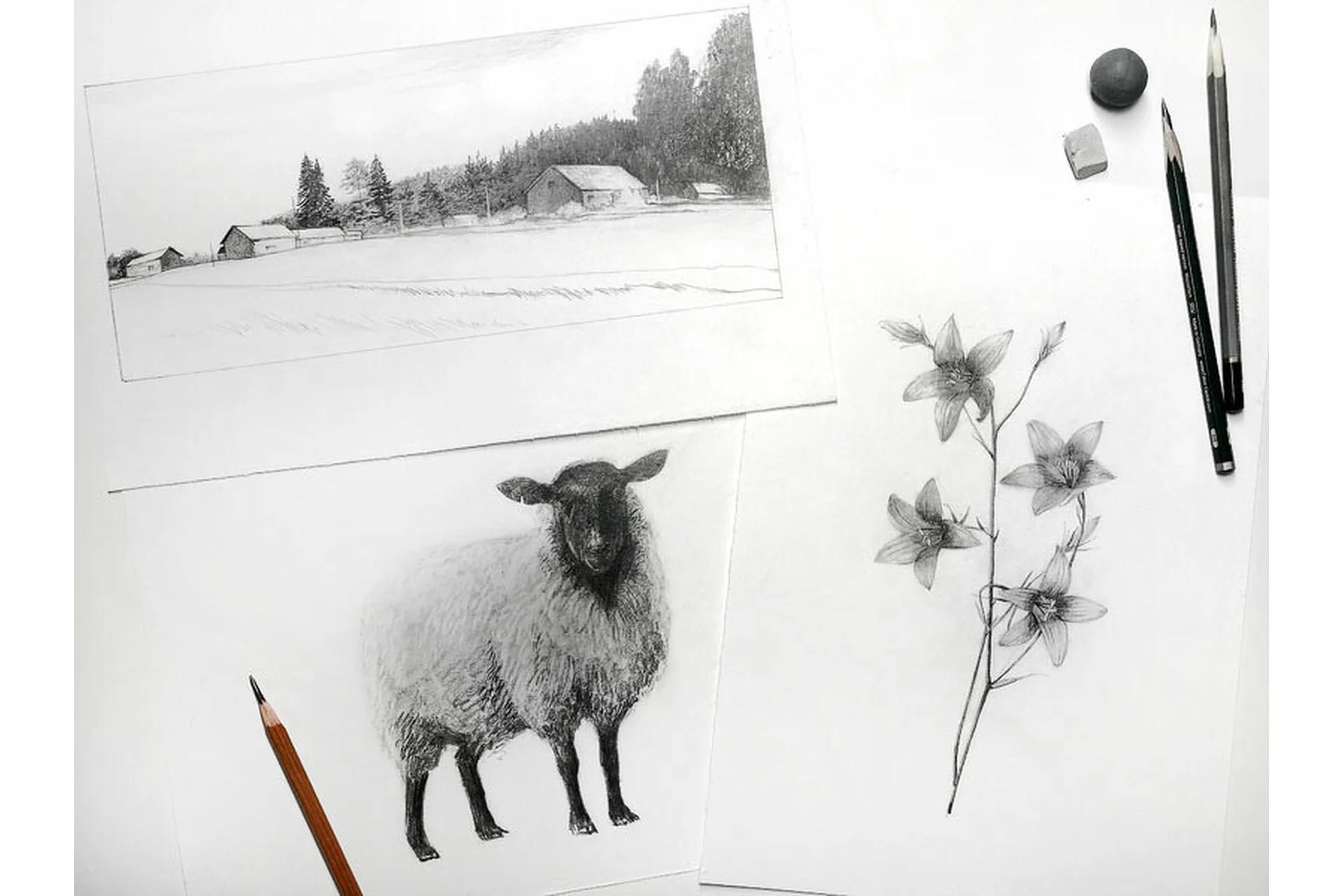 [KalachevaSchool] Карандашный рисунок. 2020 (Евгения Мельникова), фото 1 из 1.