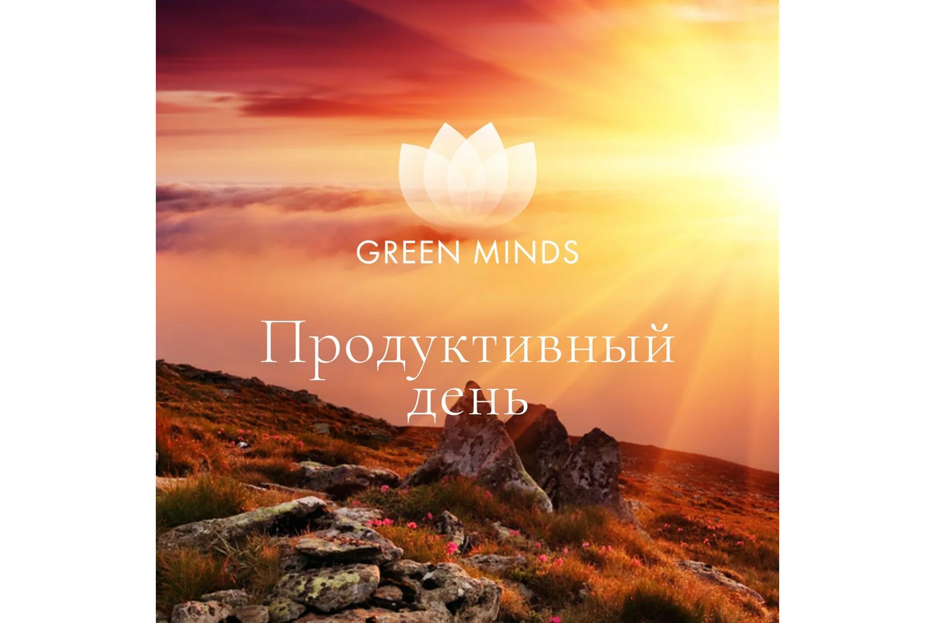 Нейромедитация Green minds «Продуктивный день» (Алексей Ситников), фото 1 из 1.