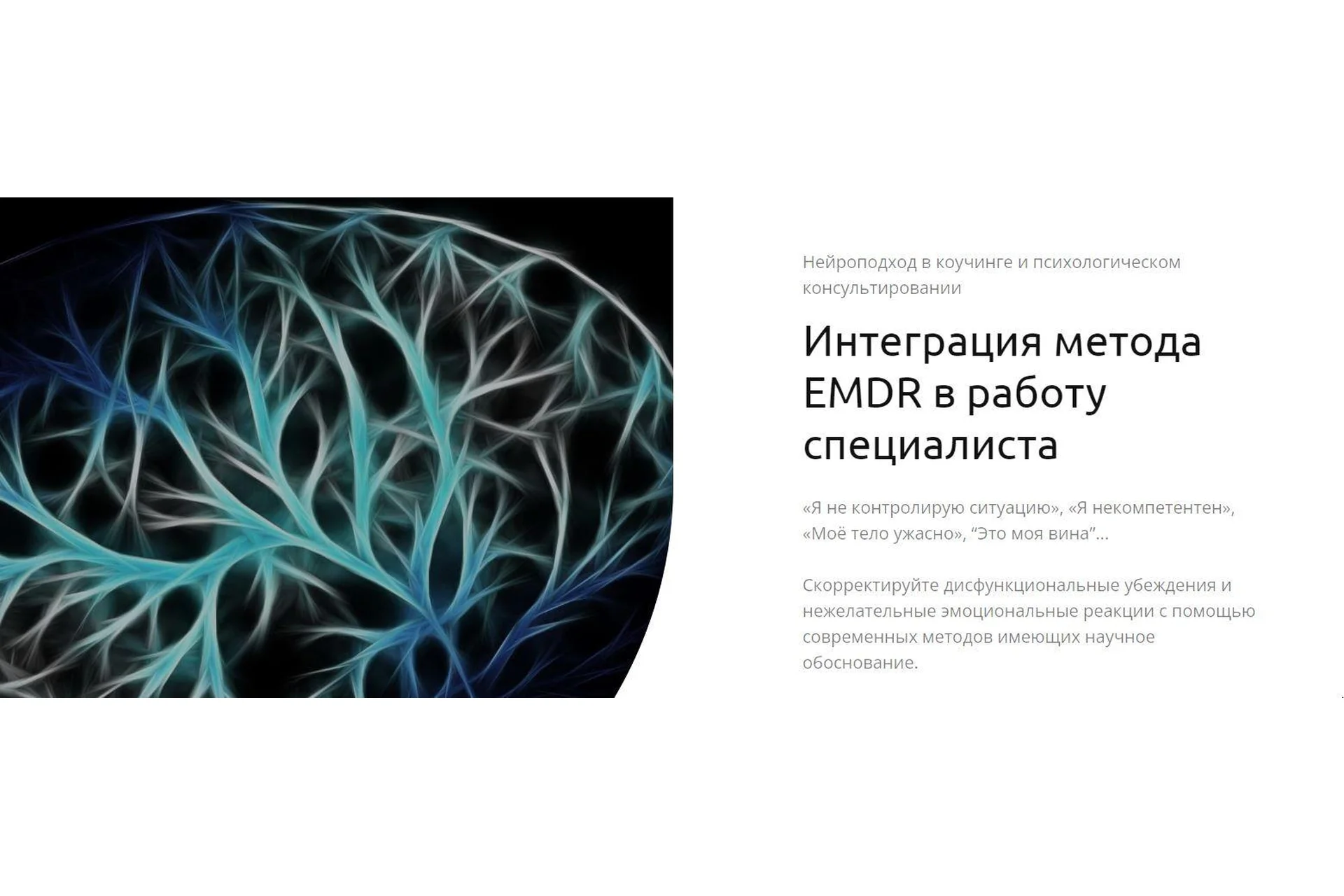 Интеграция метода EMDR в работу специалиста (Андрей Шаповалов), фото 1 из 1.