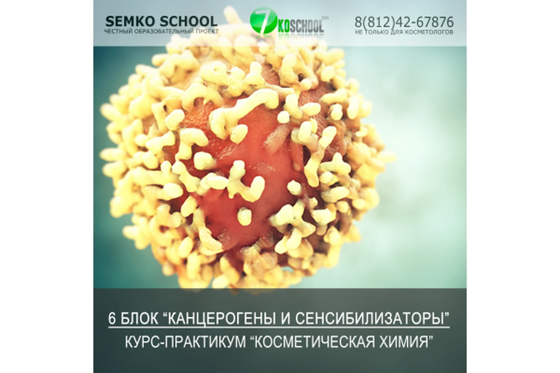 [7koschool] Косметическая химия. Блок 6 "Канцерогены и Сенсибилизаторы" (Анастасия Семко), фото 1 из 1.