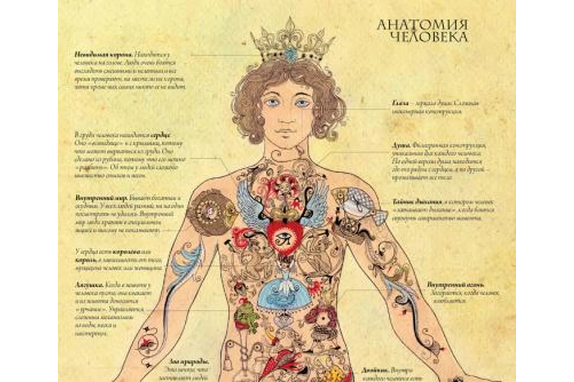 Оккультная анатомия. 3 часть. Кровь. New! (Велимира), фото 1 из 1.