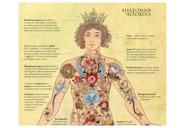 Оккультная анатомия. 3 часть. Кровь. New! (Велимира)