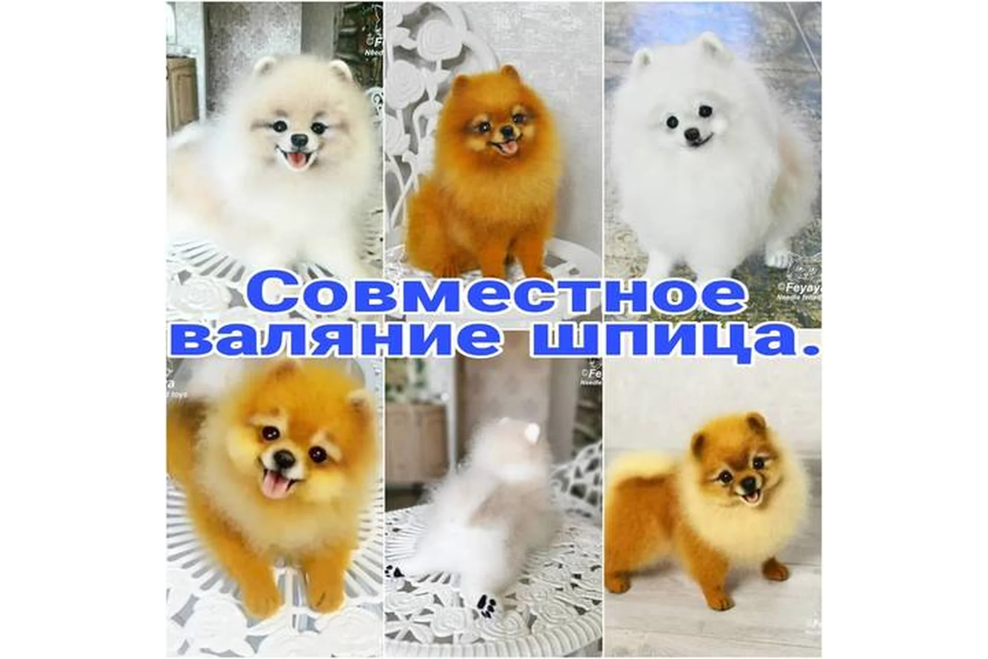 Валяние померанского шпица (feyaya1), фото 1 из 1.