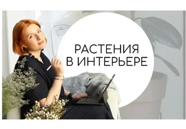 Растения в интерьере (Тина Хабарова)