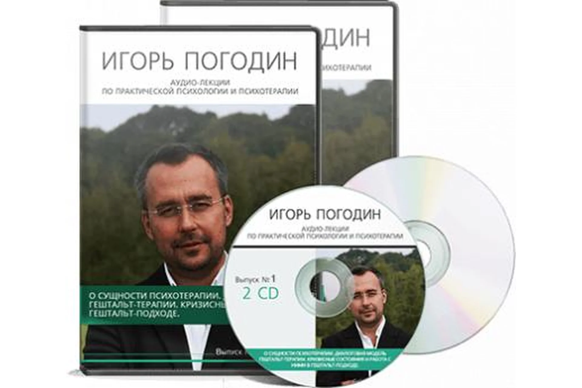 [Аудиолекции]  Гештальт-терапия. Диалоговая модель гештальт-терапии (Игорь Погодин), фото 1 из 1.