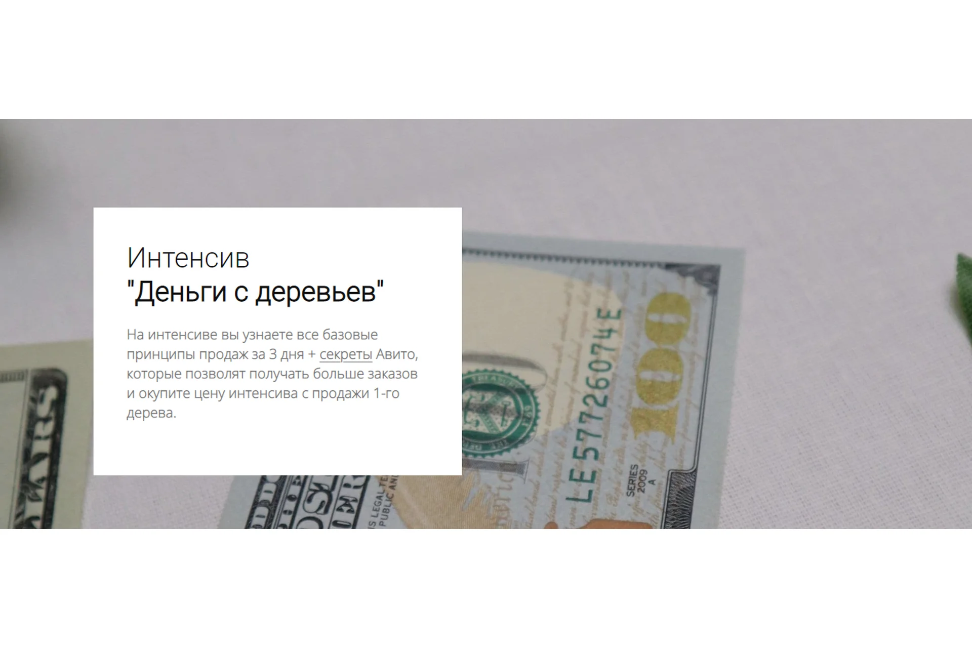 Деньги с деревьев (my.love.dom), фото 1 из 1.