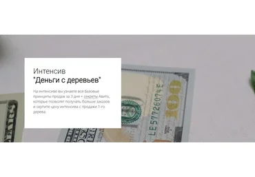 Деньги с деревьев (my.love.dom)
