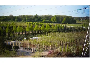 [АППМ] Питомник растений: бизнес или занятие для души? Подводные камни (Владислав Ковальчук)