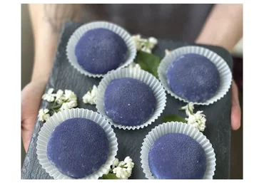 Моти. 15 начинок (Ольга Вильчевская)