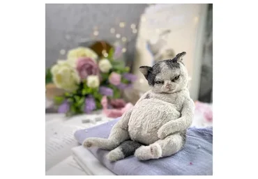 Котик (Татьяна Баканова)